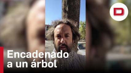 Un activista se encadena a un árbol para evitar su tala y denunciar «arboricidio» en Granada