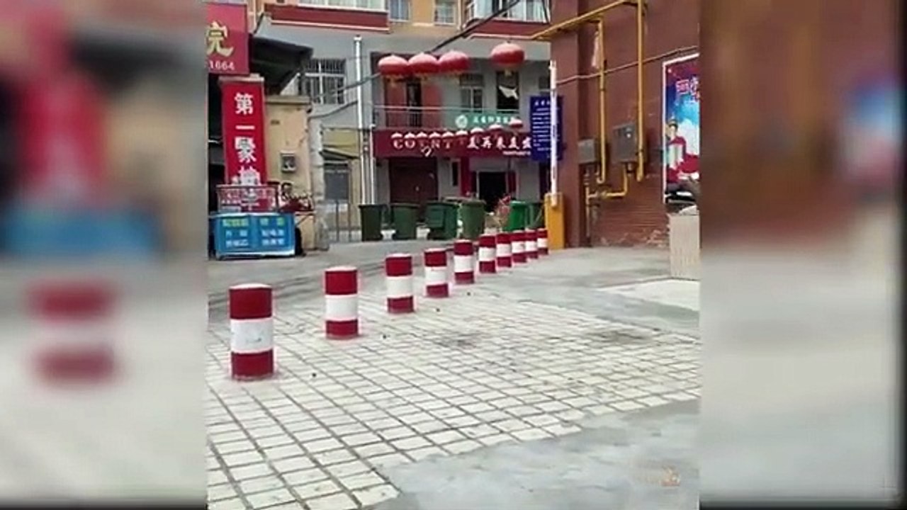 Нялх_нохой_-_Хөөрхөн_ба_хөгжилтэй_нохойн_видео