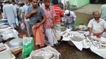 Amazing Fish Market || Crowd Fish Bazar || South Asian Fish Market Tour || Fish Video