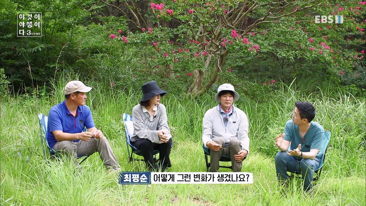 이것이 야생이다 3 - 사라진 꿀벌, 위태로운 3%_#003