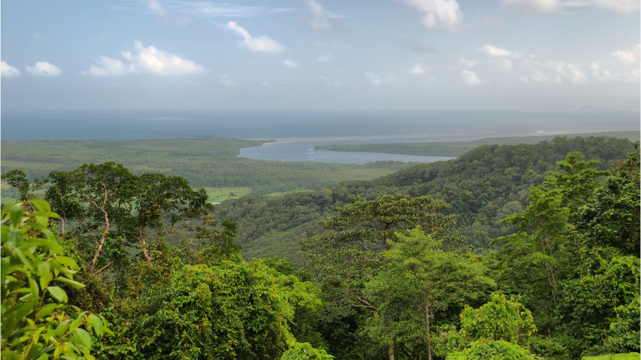 Australie, un peuple aborigène devient le gardien de Daintree, la plus vieille forêt tropicale du monde (1)