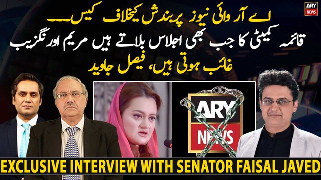 Senator Faisal Javed slams Maryam Aurangzeb over ARY News Suspension