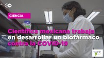 Científica mexicana trabaja en desarrollar un biofármaco contra la COVID-19