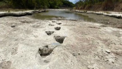 La siccità fa riemergere impronte di dinosauro in Parco in Texas