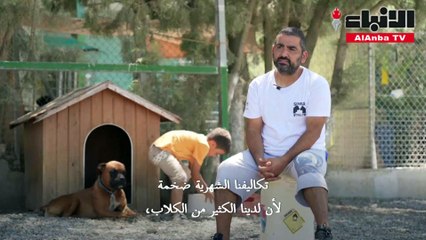 قبرص تواجه مشكلة التخلي عن الكلاب الأليفة