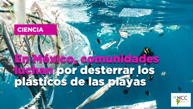 En México, comunidades luchan por desterrar los plásticos de las playas