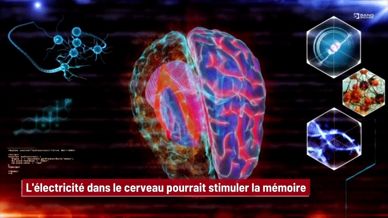 L'électricité dans le cerveau pourrait stimuler la mémoire ! - Vidéo ...