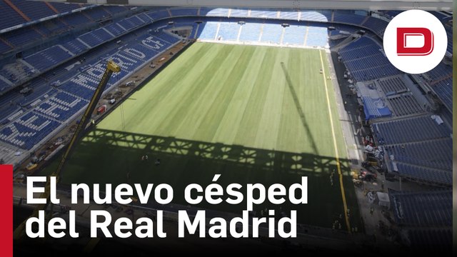 Así luce el nuevo césped del Real Madrid en el Santiago Bernabéu