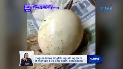 Itlog na halos singlaki ng ulo ng bata at mahigit 1 kg ang bigat, natagpuan | Saksi