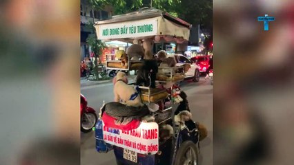 UNBELIEVABLE ROAD MOMENTS CAUGHT ON CAMERA!