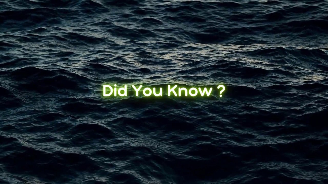 Psychology facts about Relationships || Psychology of human behavior