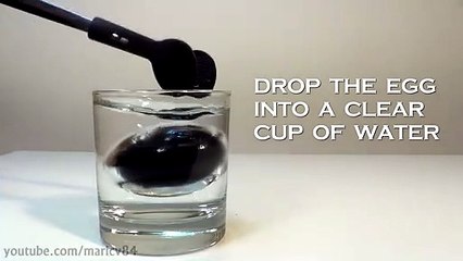 Silver Egg Experiment! Fire and Water turns makes the egg shiny