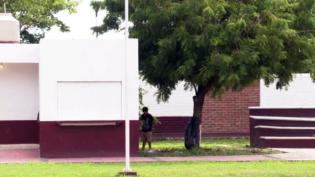 Unidad deportiva Los Tamarindos recién habilitada | CPS Noticias Puerto Vallarta