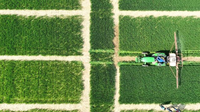 El encarecimiento del gas en Europa puede provocar escasez de fertilizantes