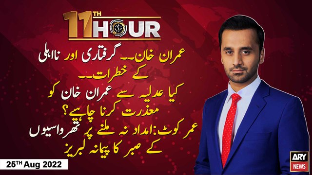 11th Hour | Waseem Badami | ARY News | 25th August 2022