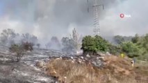 İsrail'de orman yangını: Çok sayıda kişi tahliye edildi