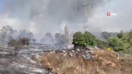 İsrail'de orman yangını: Çok sayıda kişi tahliye edildi