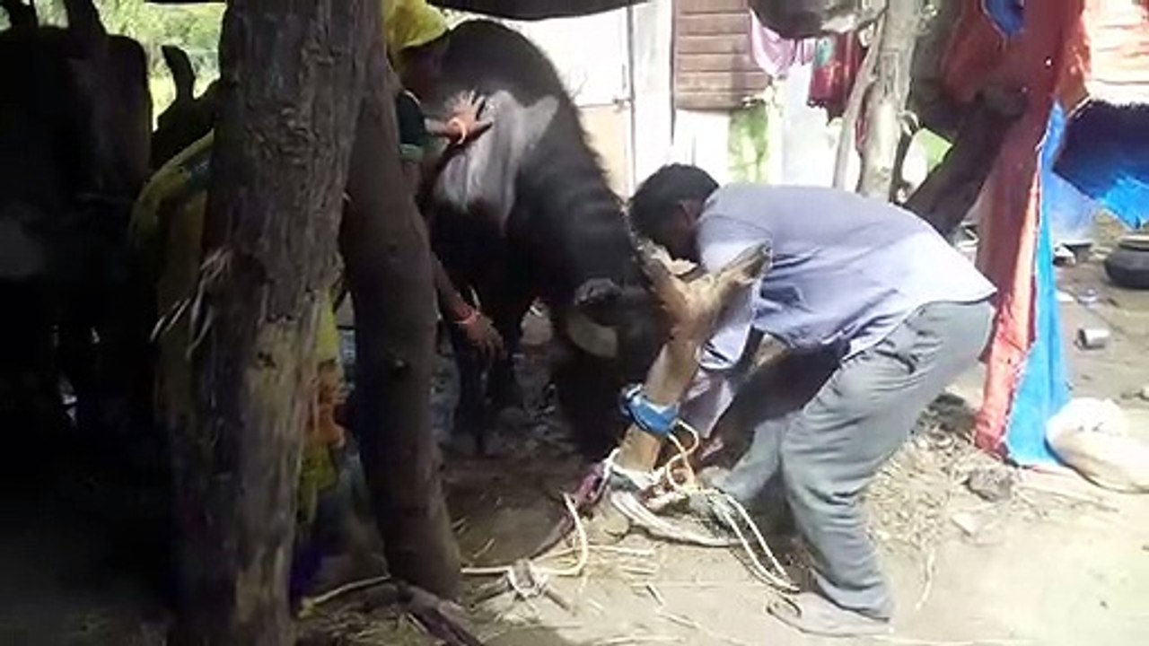 ULTIMATE PRANK WAR #VLOG || Funny TikTok Pranks On Your SIBLING for 24 HOURS by 123GO! CHALLENGE