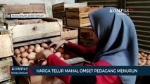 Harga Telur Mahal, Omset Pedagang Menurun