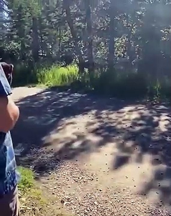 山道に熊が現れる