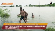 Las fuertes lluvias provocaron inundaciones en los cultivos