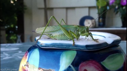 One In A Million Moments Captured On Camera #2