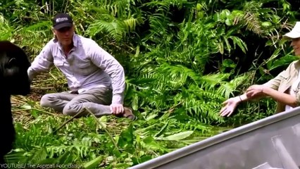 This Lioness Surprised The Photographer In An Unexpected Way