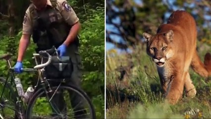 35 Times Animals Took Revenge on Cyclists