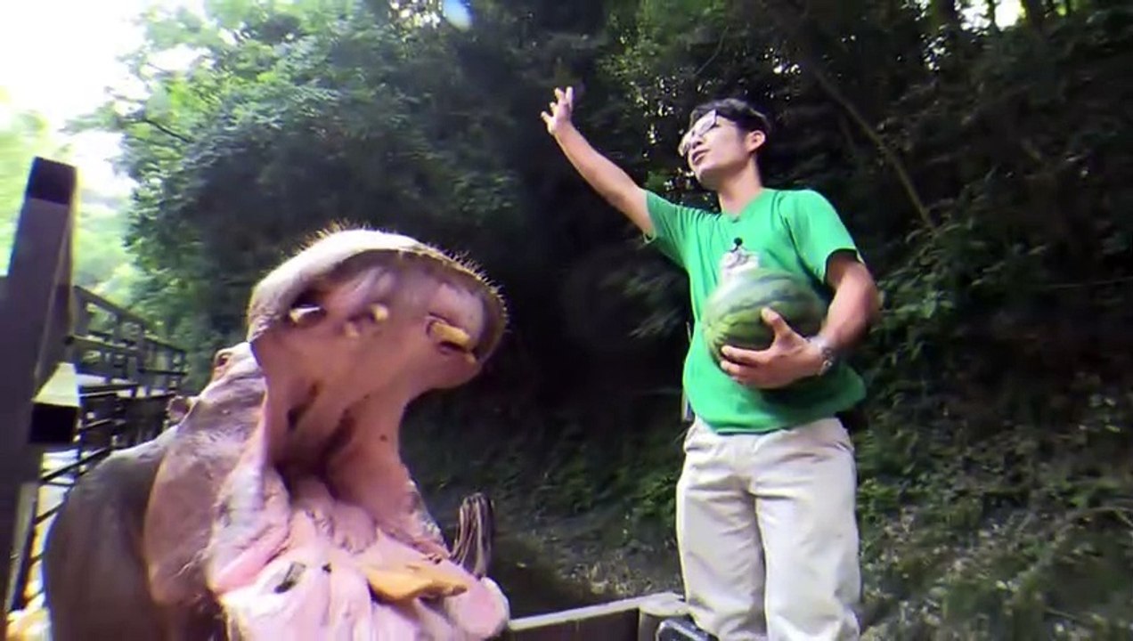 20 Most Powerful Creatures on Planet Earth