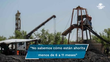De 6 a 11 meses tardaría rescate de mineros