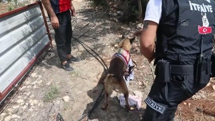 Ailesinin kayıp başvurusunda bulunduğu kadın aranıyor