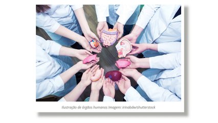 Bioimpressora 4D que recria tecidos humanos chega ao Brasil