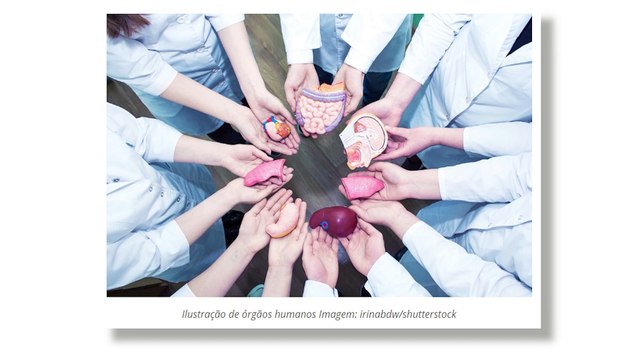 Bioimpressora 4D que recria tecidos humanos chega ao Brasil