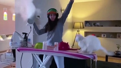 Animals Getting Scared Over Nothing 2022