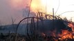 Amazônia legal registra pior dia de queimadas em 15 anos