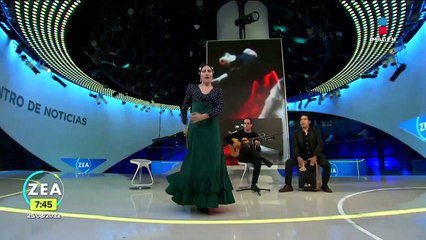 "Historia del baile flamenco", un proyecto