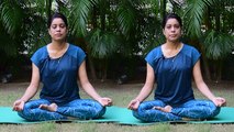 5 Minute Prayanama |प्राणायाम |भस्त्रिका प्रणायाम ( Bhastrika Pranayama ) करने का तरीका फायदा |*Yoga