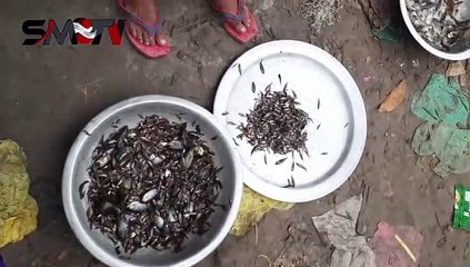 দেশীয় ছোট মাছ