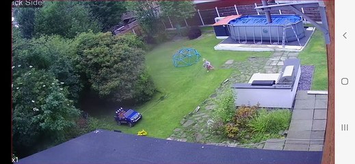 Little Girl Playing in Toy Jeep Runs Over Jealous Brother