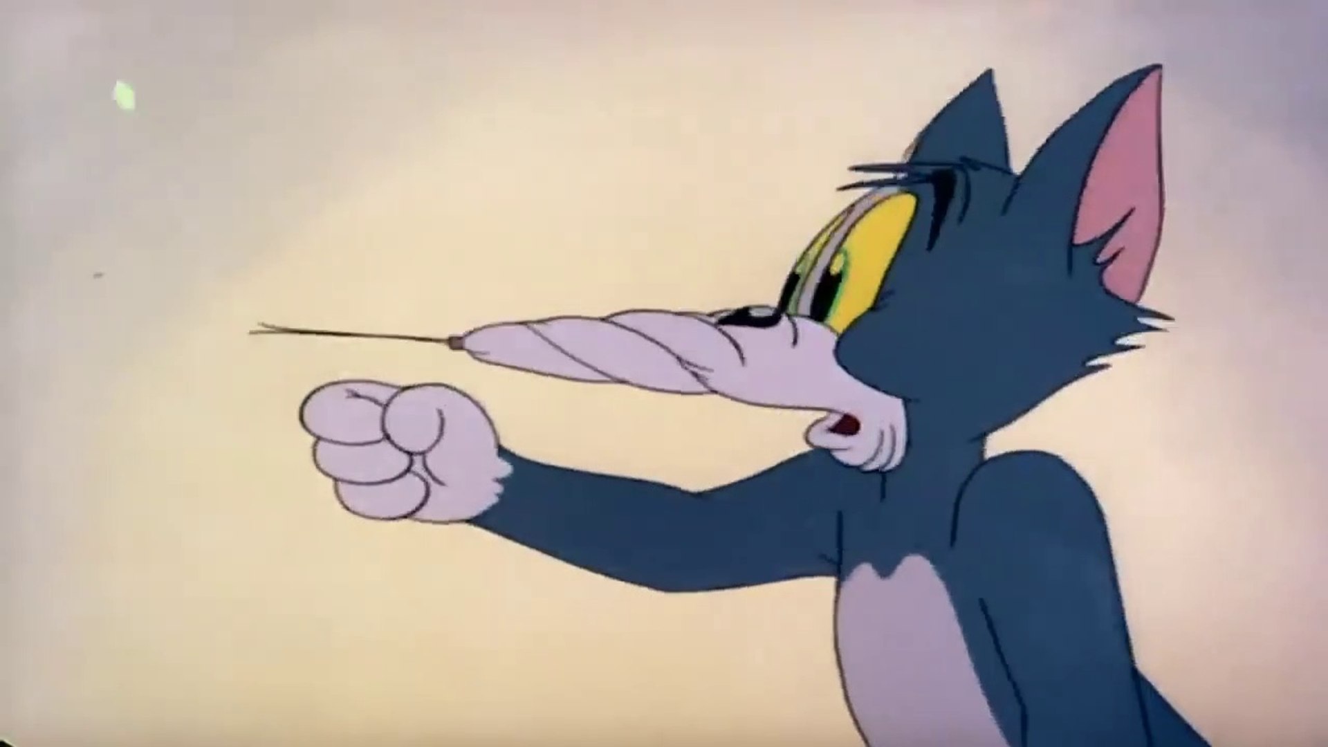 tom and jerry cartoon video