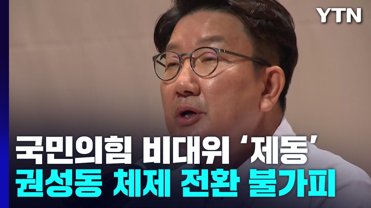 [더뉴스] 국민의힘 비대위 체제 전환 제동...법원 결정문 내용과 의미는? / YTN