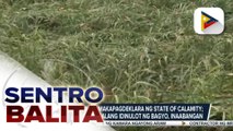 Bagyong Florita, hindi umano nagdulot ng malaking pinsala sa Cagayan