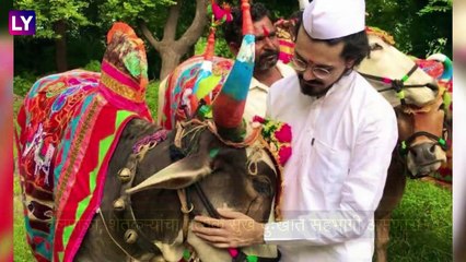 Bail Pola:बैलपोळा सणाचे महत्व आणि पूजा पद्धत, जाणून घ्या