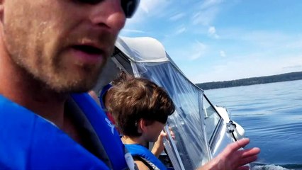 Family Experiences Close Encounter With Humpback Whale