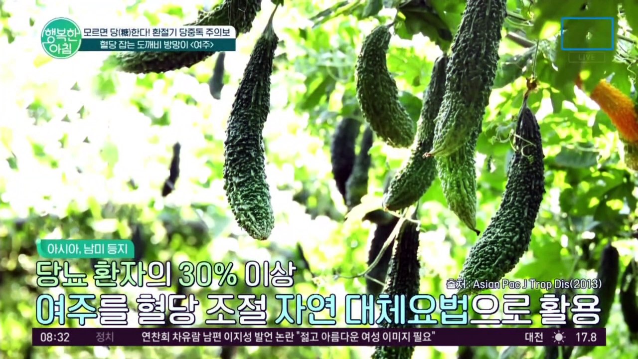 혈당 잡는 도깨비방망이 ★여주★ 혈당 관련 원료로 식약처 인정받은 여주! 믿고 드세요~!