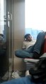 Son dakika haberi | Tramvayda ayakkabılarını çıkarıp uyuyan yolcu kamerada