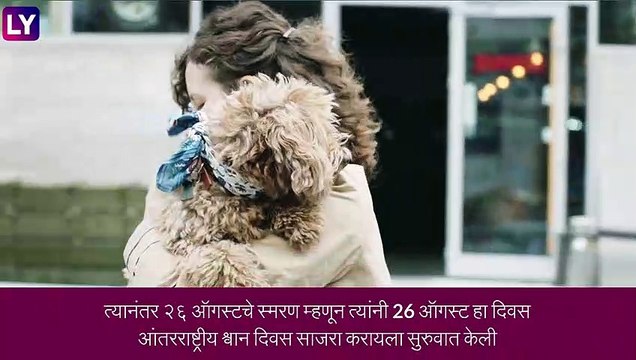 International Dog Day 2022: आंतरराष्ट्रीय श्वान दिवसाचा इतिहास आणि साजरा करण्याची पद्धत, जाणून घ्या