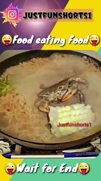 Food eating Food || FUNNIEST moments  || Funnyvideo
