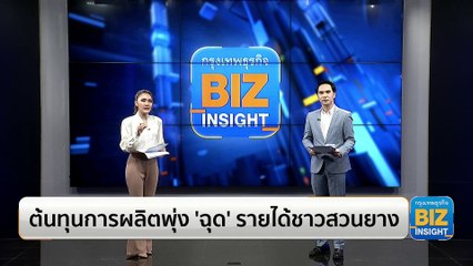 ต้นทุนการผลิตพุ่ง ‘ฉุด’ รายได้ชาวสวนยาง