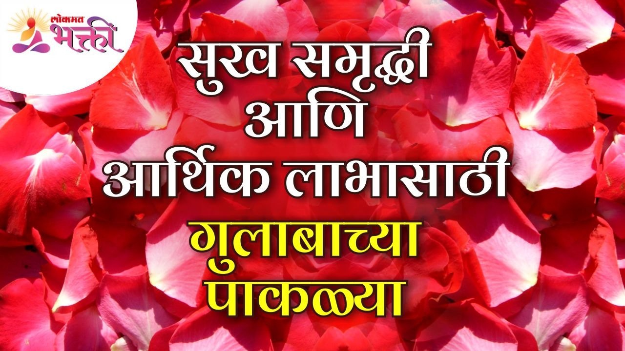 जीवनात गुलाबाच्या पाकळ्या का महत्वपूर्ण आहेत? Why rose petals are